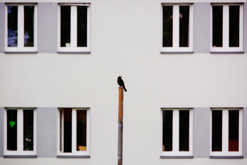 lensculture emerging talent awards 2016 flux fotografie niederrhein 01