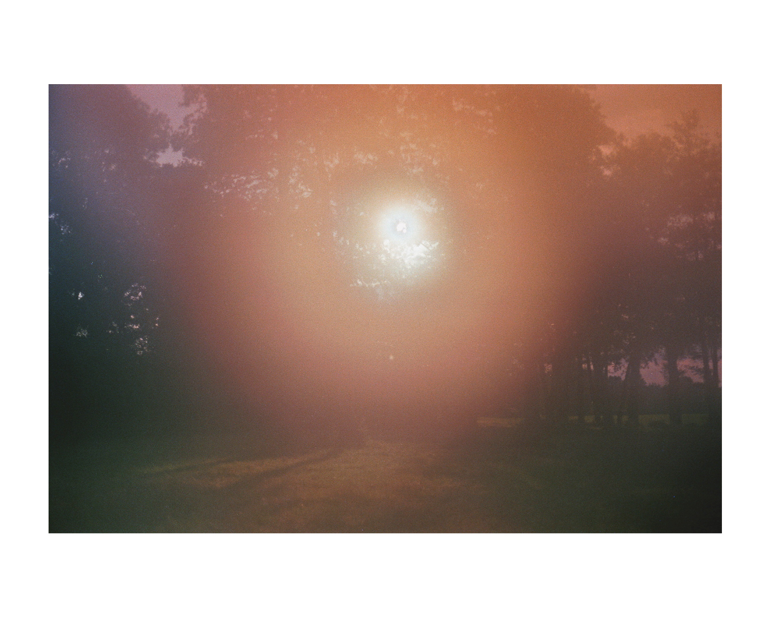 geldern fotograf niederrhein constantin flux film fotografie willow 14