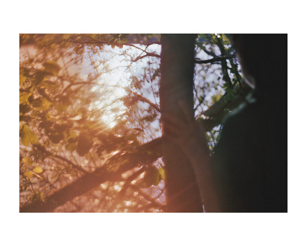 geldern fotograf niederrhein constantin flux film fotografie willow 06