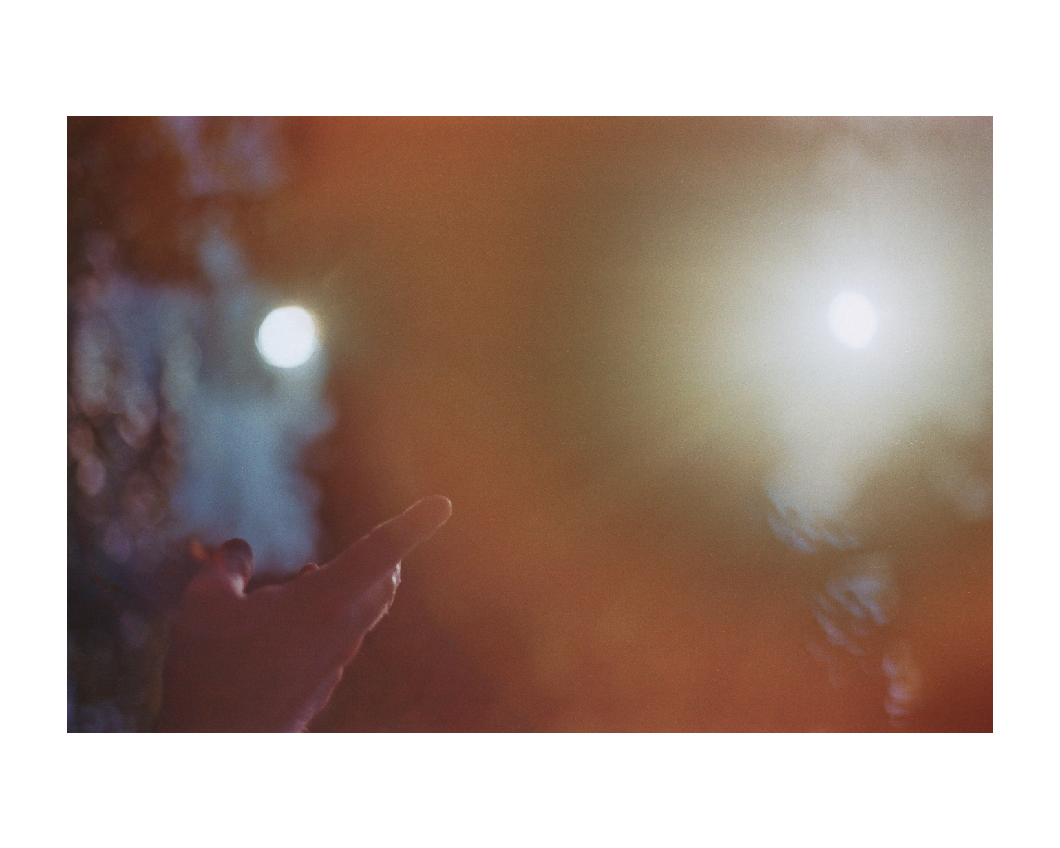 geldern fotograf niederrhein constantin flux film fotografie willow 17