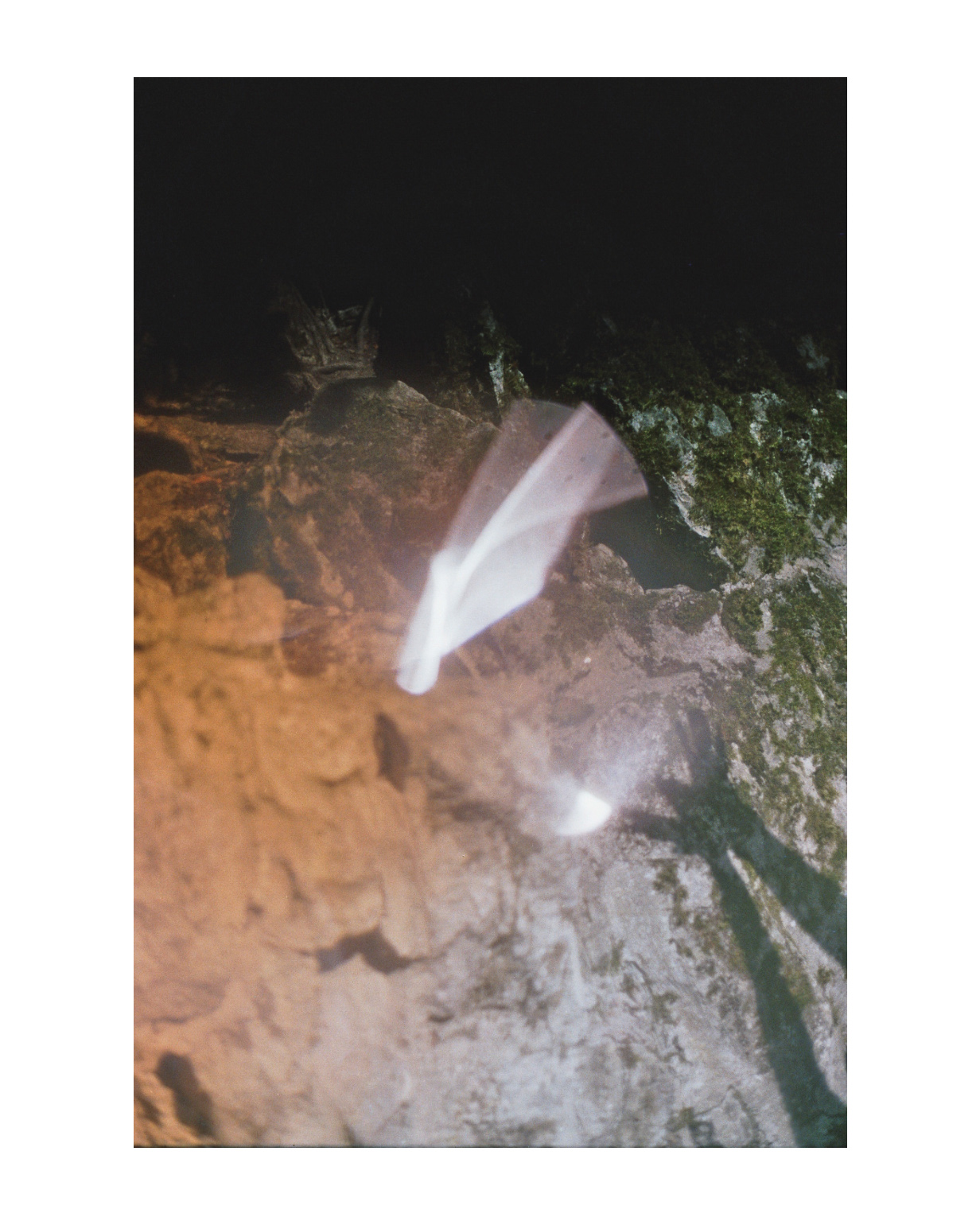 geldern fotograf niederrhein constantin flux film fotografie willow 11