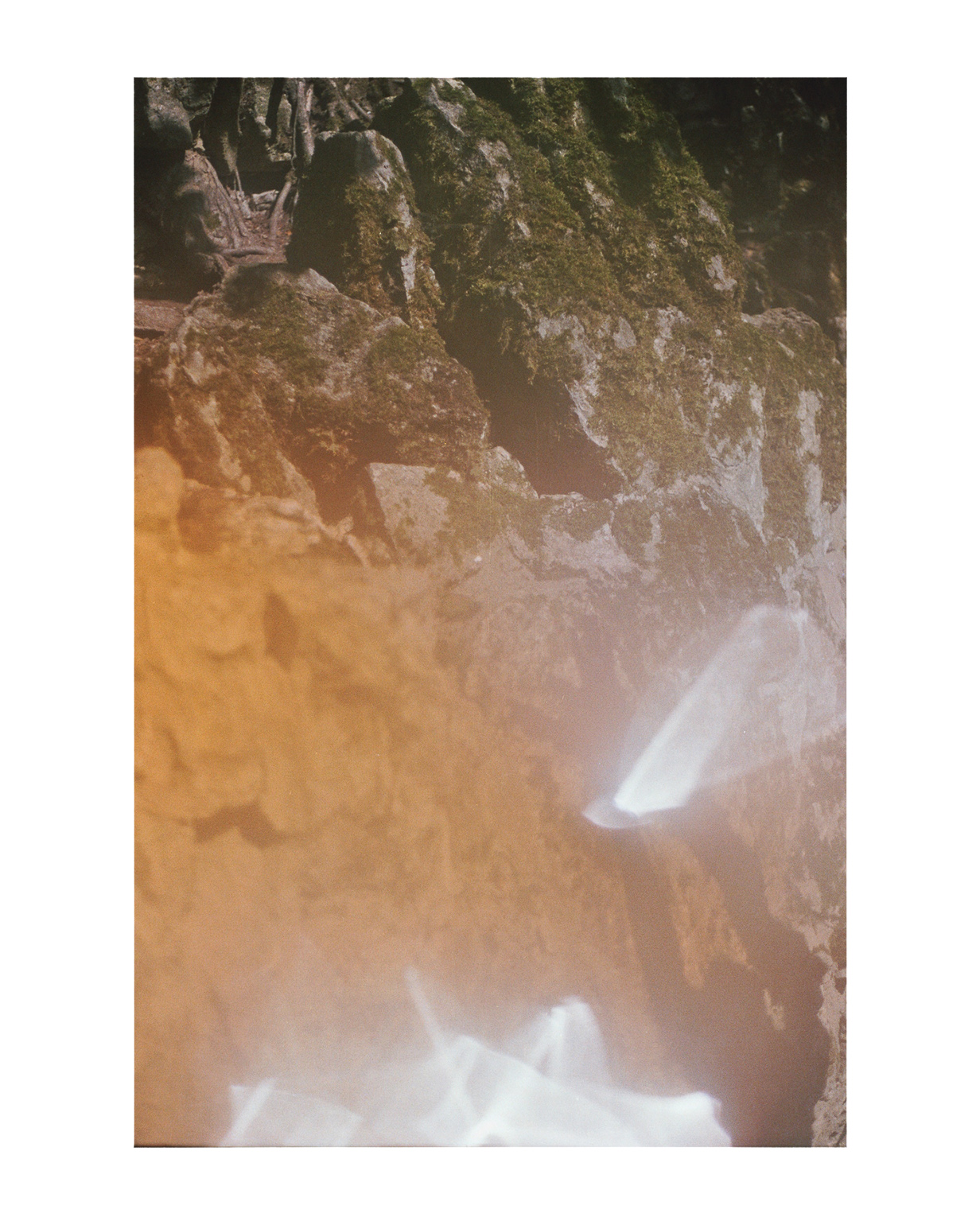 geldern fotograf niederrhein constantin flux film fotografie willow 02