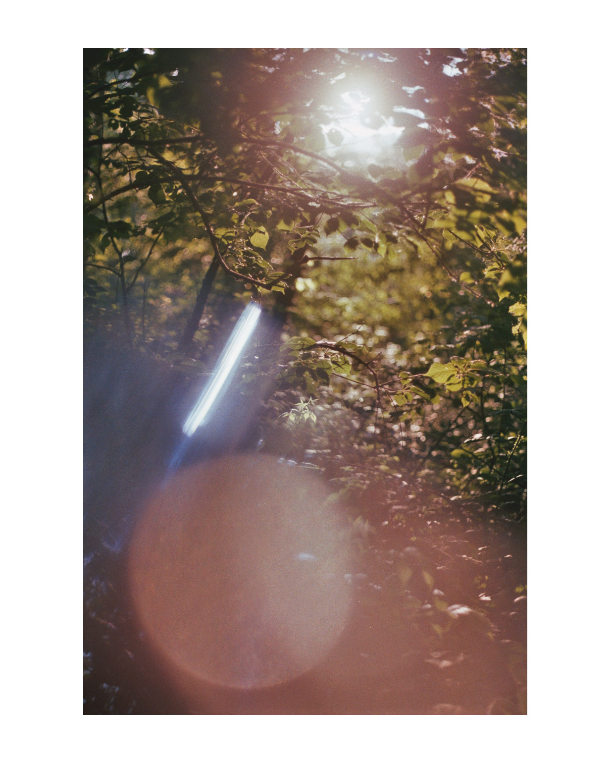 geldern fotograf niederrhein constantin flux film fotografie willow 04