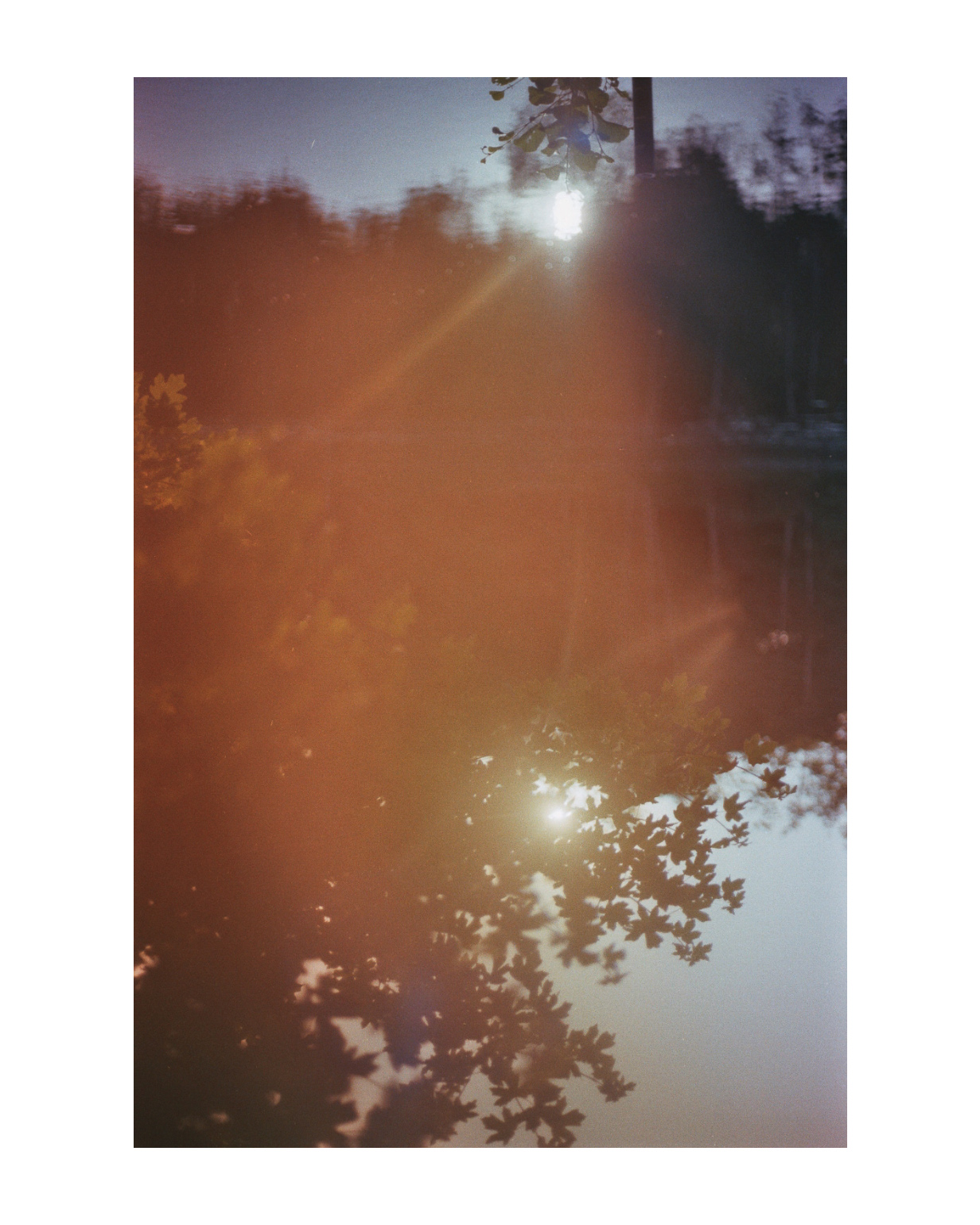 geldern fotograf niederrhein constantin flux film fotografie willow 19