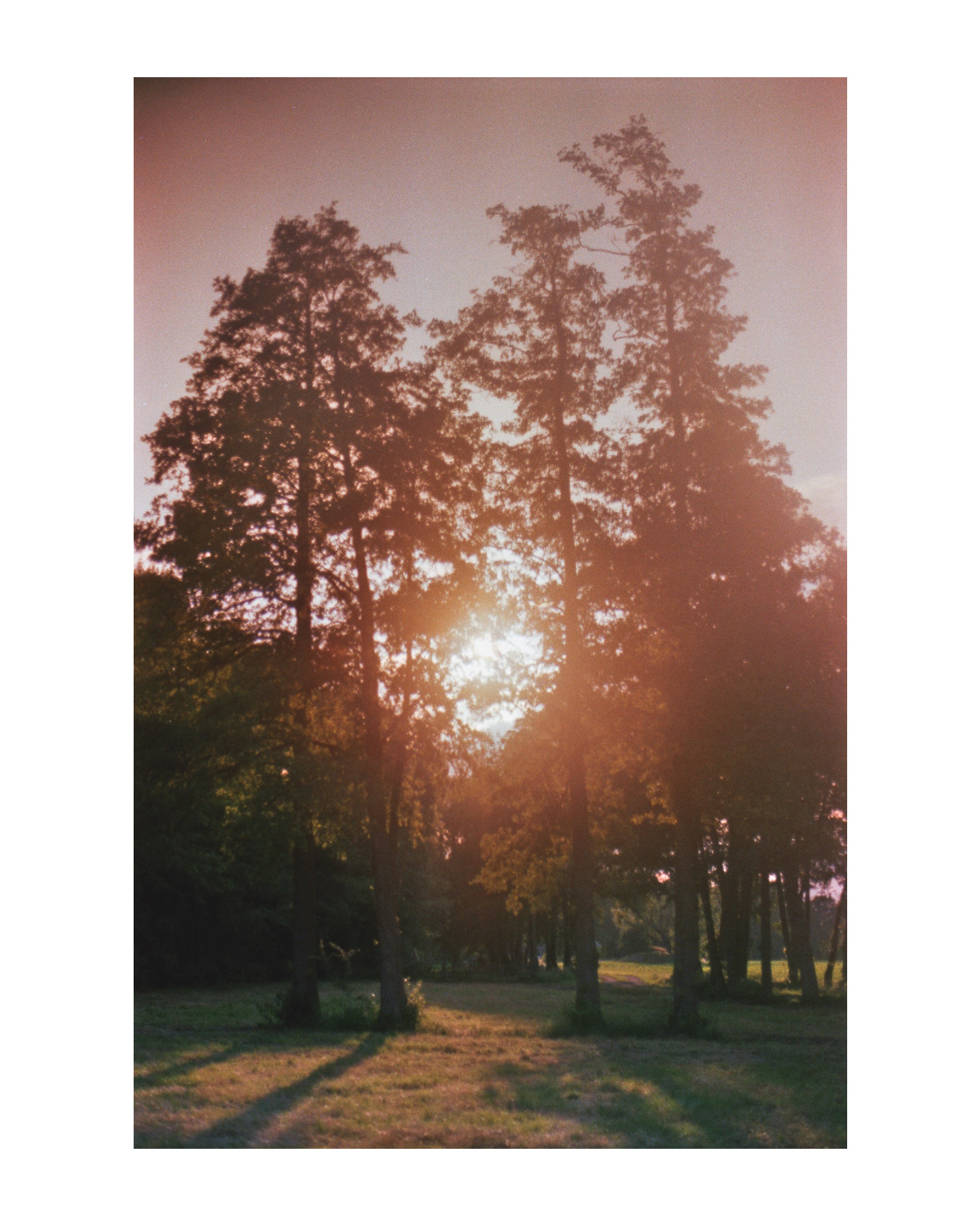 geldern fotograf niederrhein constantin flux film fotografie willow 15