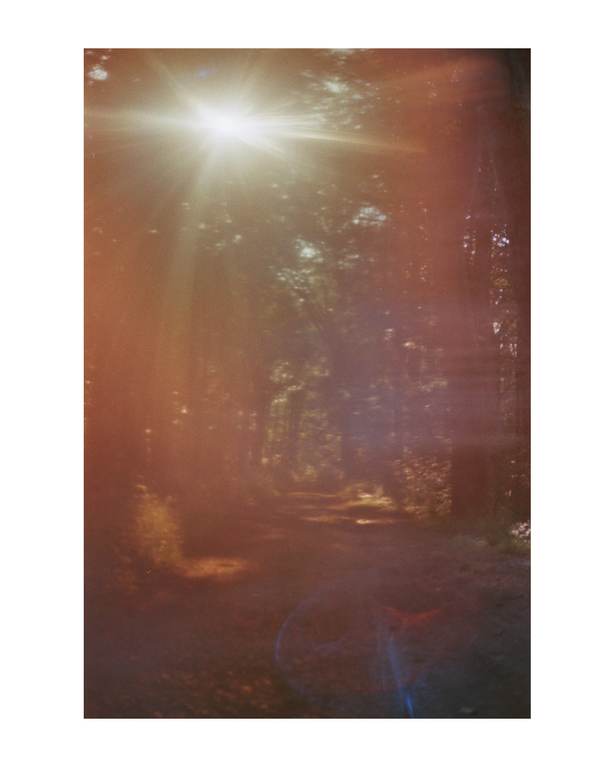 geldern fotograf niederrhein constantin flux film fotografie willow 05