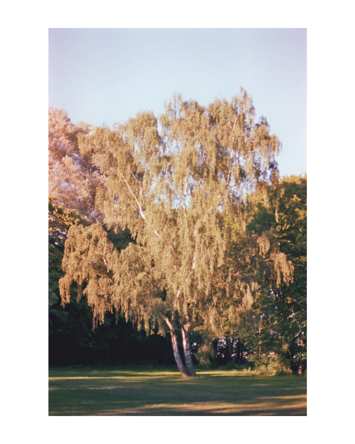 geldern fotograf niederrhein constantin flux film fotografie willow 20