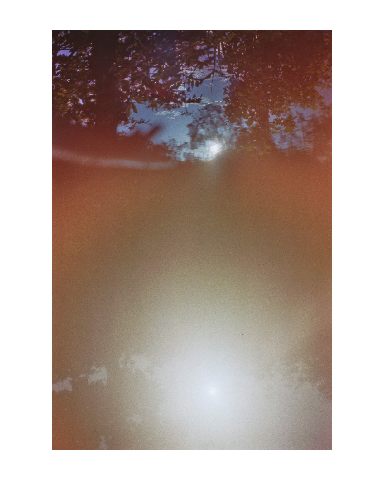geldern fotograf niederrhein constantin flux film fotografie willow 18